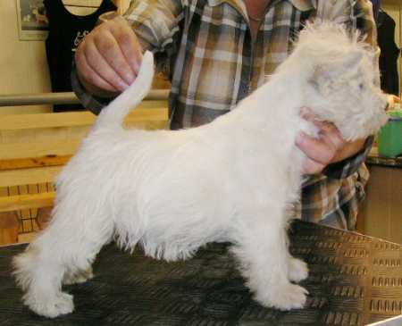 General´s Hot Temptress