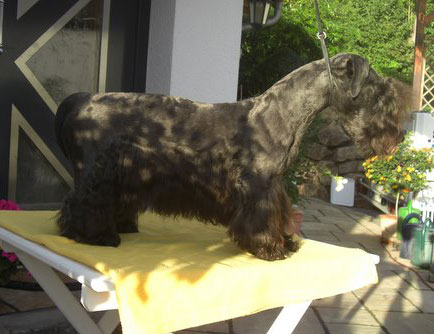 Hier geht es zu Hrbi