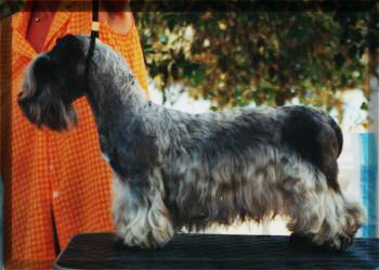 " Schrder ". Bitte anklicken!